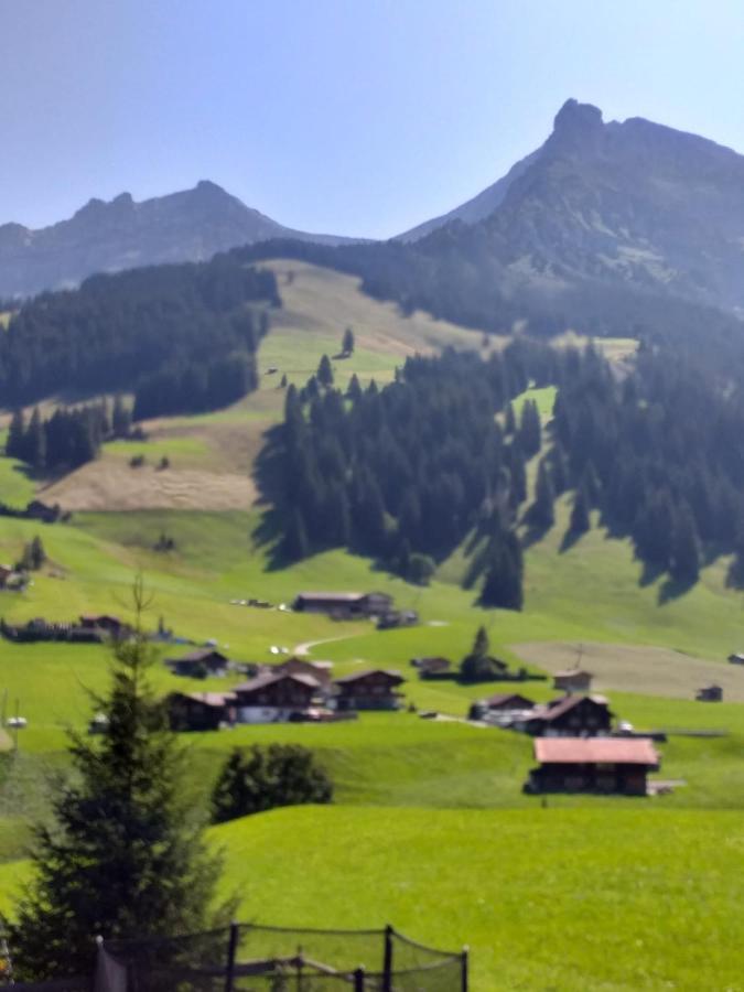 Chalet Aloa Apartment Adelboden Bagian luar foto