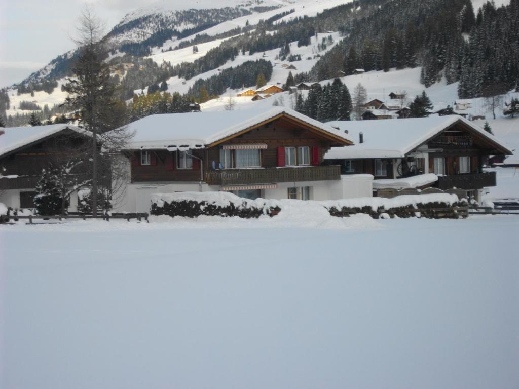 Chalet Aloa Apartment Adelboden Bagian luar foto