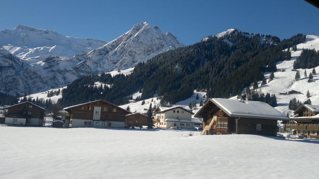 Chalet Aloa Apartment Adelboden Bagian luar foto