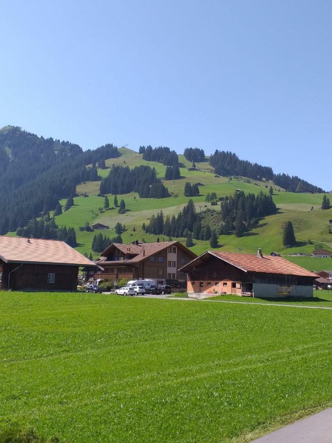 Chalet Aloa Apartment Adelboden Bagian luar foto